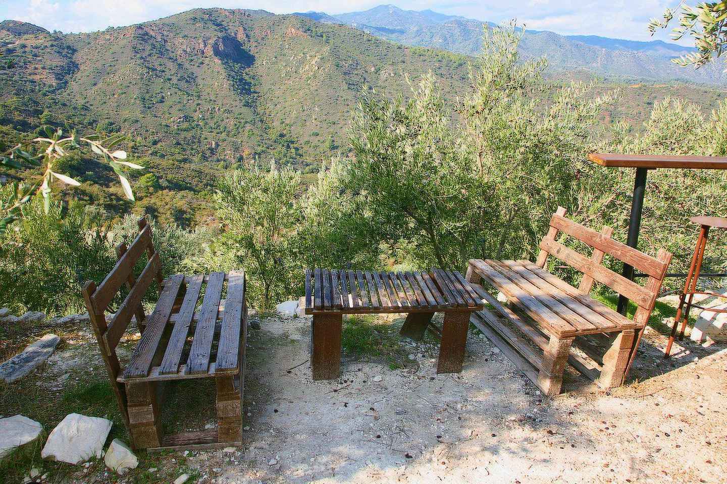 Limassol: Shore Excursion Olive Farm, Crafts & Old Limassol