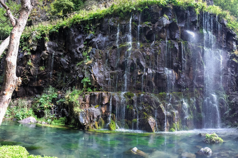 From Tbilisi to Dashbashi Canyon and the Diamond BridgeНика