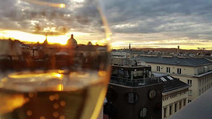 vienna tour del vino di un giorno