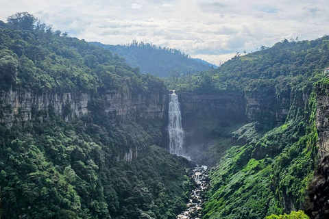 From Bogotá: Coffee Sightseeing Tour, Tequendama Falls, and Exotic Fruits