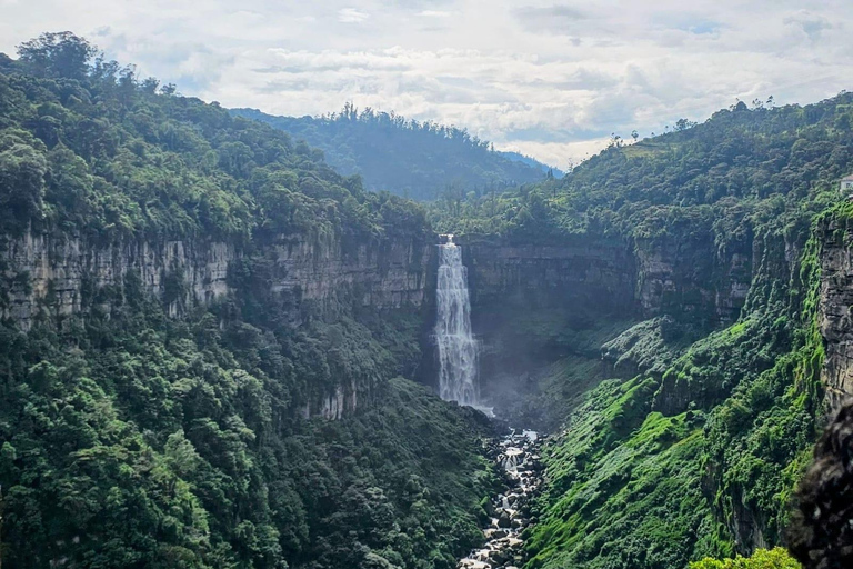 From Bogotá: Coffee Sightseeing Tour, Tequendama Falls, and Exotic Fruits