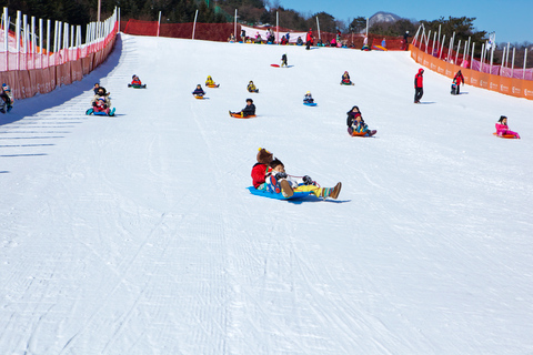 Desde Seúl: Excursión de Esquí a Gangchon con la Isla de NamiPaquete Snowboard - Reunión en la estación DDP