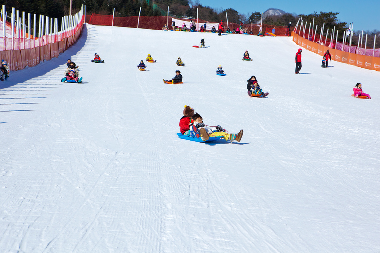 From Seoul: Elysian Gangchon Ski Tour with Nami IslandSnowboard Package - Meeting at DDP Station