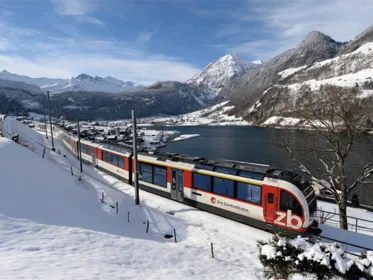 Exklusive Panoramazugfahrt durch das Herz der Schweiz