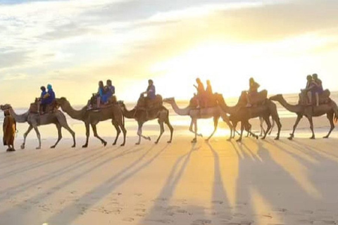 Tamri: Quad Biking, Camel Ride, and Dinner Show