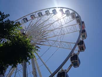 The Cape Wheel: Einlass ohne Anstehen The Cape Wheel: Einlass ohne Anstehen
