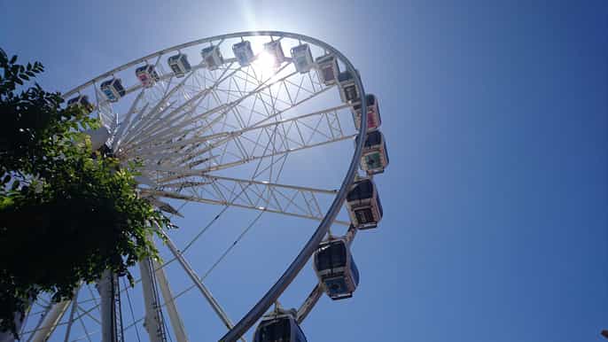 the cape wheel skip the line ticket
