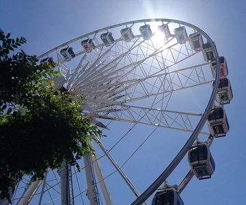 The Cape Wheel Ticket