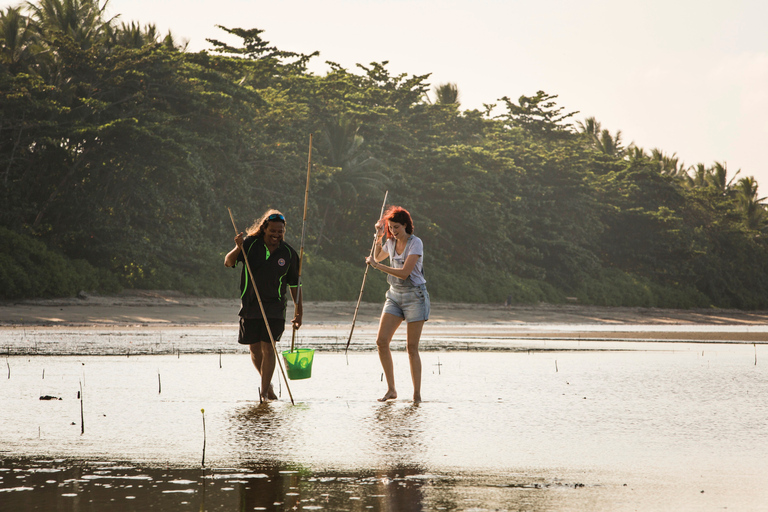 Cairns: Daintree Rainforest Traditional Aboriginal Fishing Daintree Rainforest: Ngadiku Dreamtime Walk