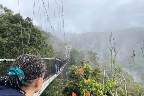 Kigali: 2-Day Nyungwe Canopy Walk, Zipline & Waterfall Tour