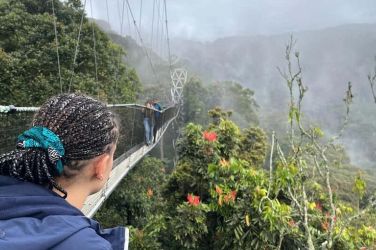 Kigali: 2-Day Nyungwe Canopy Walk, Zipline & Waterfall Tour
