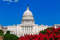 De la ciudad de Nueva York, Washington y Filadelfia Tour de 1 día - Housity