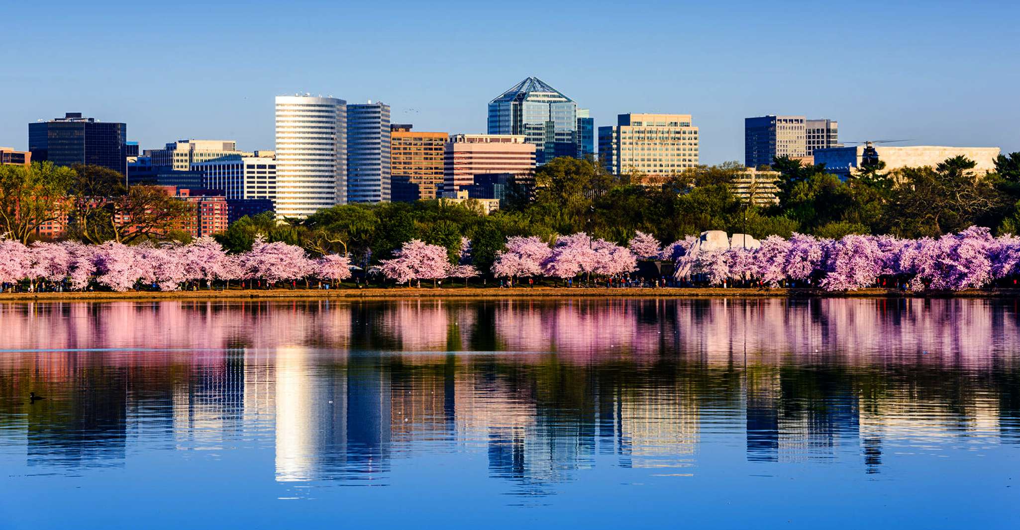 From New York City, Washington and Philadelphia 1-Day Tour - Housity