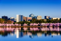 De la ciudad de Nueva York, Washington y Filadelfia Tour de 1 día - Housity