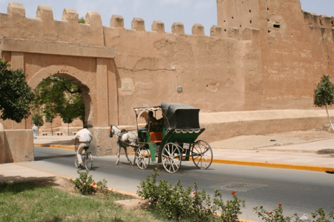 Agadir: Taroudant & Tiout Day Trip with Breakfast & Lunch