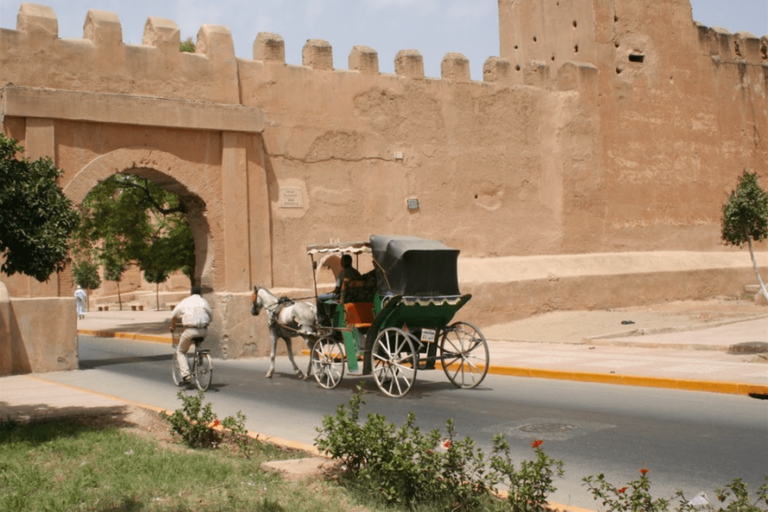 Agadir: Taroudant & Tiout Day Trip with Breakfast & Lunch