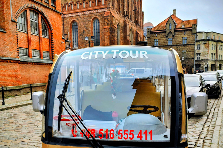 Gdansk: City Tour by Golf Cart with Mulled Wine 120 min Private City Tour by Golf Cart with Mulled Wine
