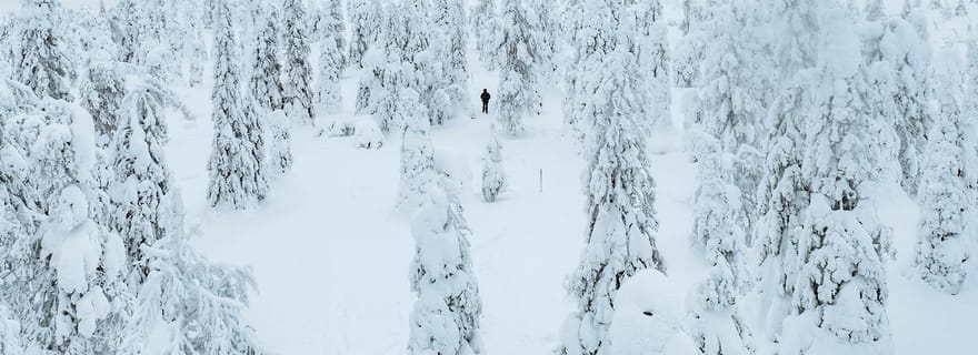 Rovaniemi : excursion au parc national de Riisitunturi avec un guide de la région
