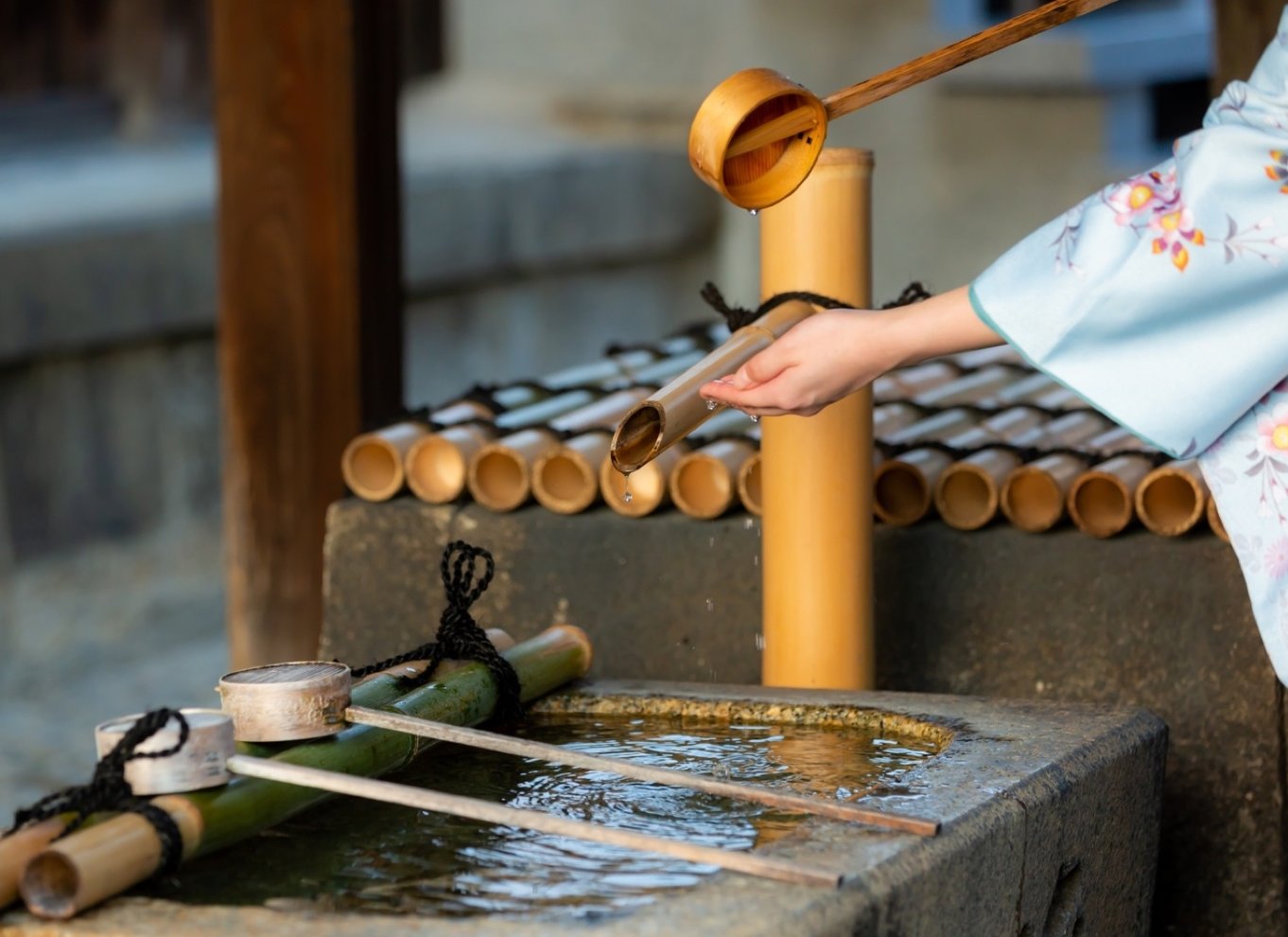 Kyoto: Te-ceremoni Ju-An ved Jotokuji-templet