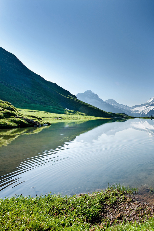 Grindelwald Gondola Ride to Mount First GetYourGuide