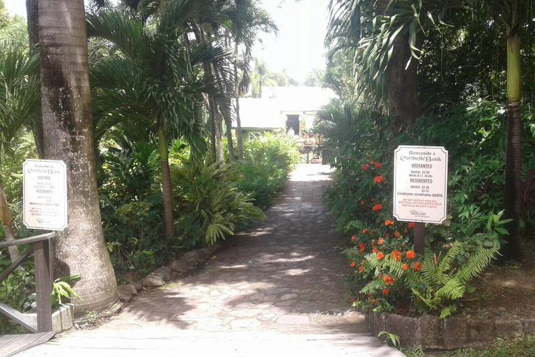 Tour in autobus di mezza giornata dell&#039;isola di St. Kitts