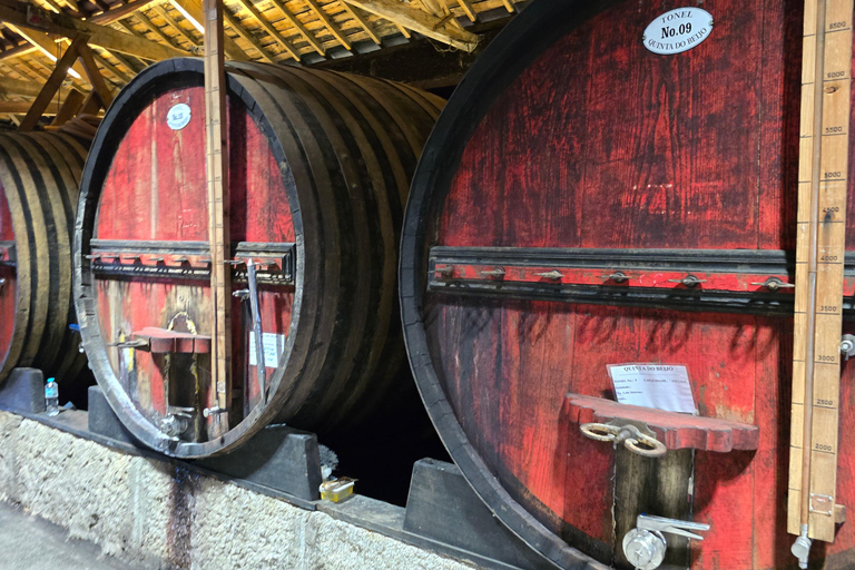Douro Valley: Private Wine Tour with Lunch