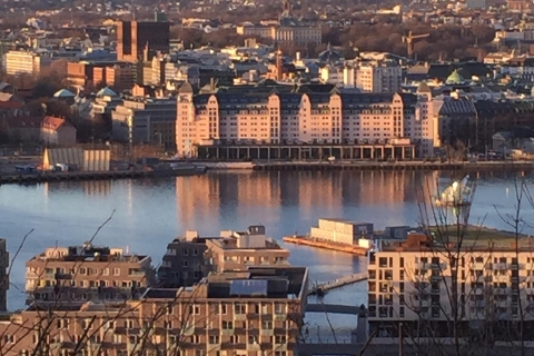 Oslo: panoramisch uitzicht en beeldenparkwandelingPanorama- en beeldenpark van Oslo