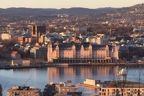 Oslo: Excursão com Vistas Panorâmicas e Parque de Esculturas