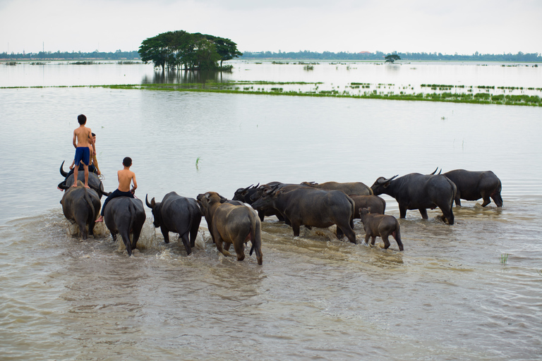 Ab Hafen Nha Rong: Private Tour im Mekongdelta