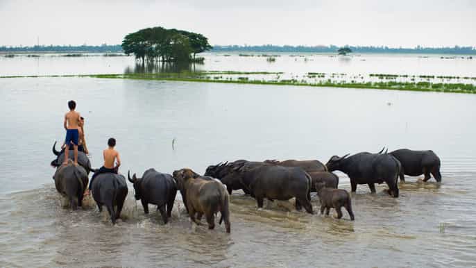 nha rong port private mekong delta tour