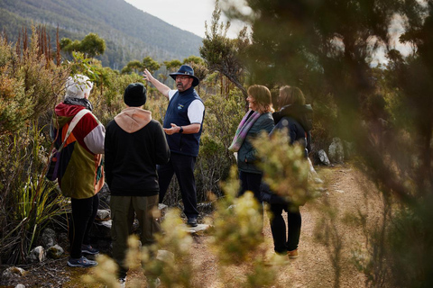 Mt Wellington ultieme middagtour