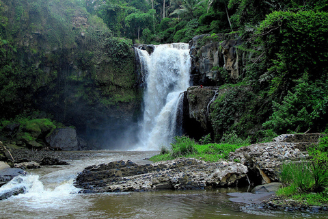 Ubud och Canggu: Risterrasser, vattenfall &amp; svart sandstrandTur med guide som talar koreanska