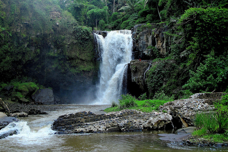 Ubud e Canggu: terrazza di riso, cascata e spiaggia neraTour con guida in coreano