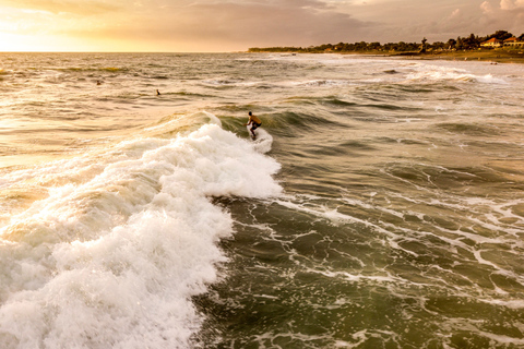 Ubud och Canggu: Risterrasser, vattenfall &amp; svart sandstrandTur med guide som talar engelska