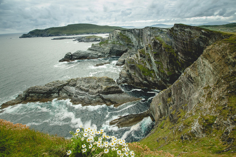 Depuis Dublin : visite d’une journée de Kerry