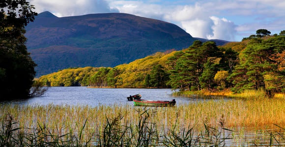 Kerry: Full-Day Tour from Dublin