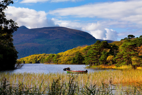 Kerry: Heldagstur från Dublin