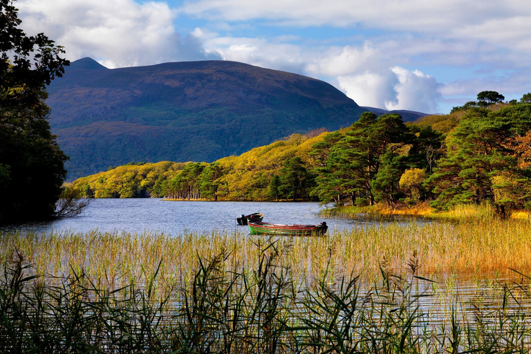 Kerry: Full-Day Tour from Dublin