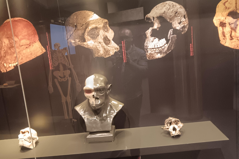 Johannesburg: Cradle Of Humankind & Fossil Discovery Tour