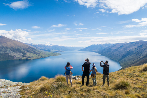 Wanaka: Mount Burke 4x4 Explorer and Boat Tour