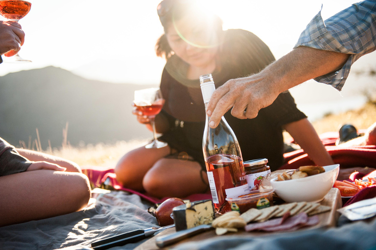 Wanaka: Mount Burke 4x4 Explorer and Boat Tour