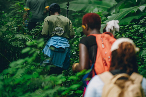 Arusha: Uluguru Mountains 2-Day Hiking and Camping Tour