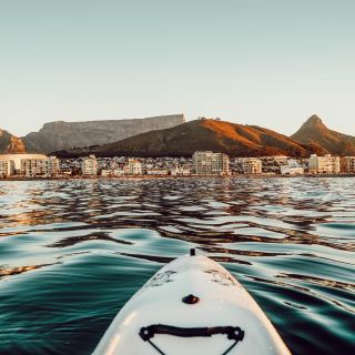 Cape Town: Marine Life Kayak Tour From the V&A Waterfront