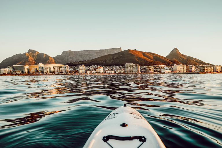 Cape Town: excursion en kayak sur la vie marine depuis le front de mer V&A