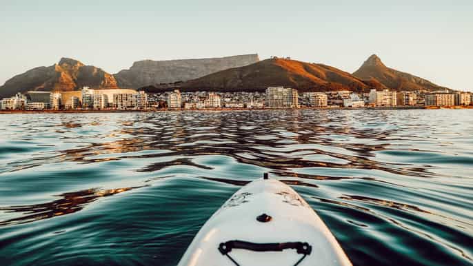 cape town marine life kayak tour from the v&a waterfront
