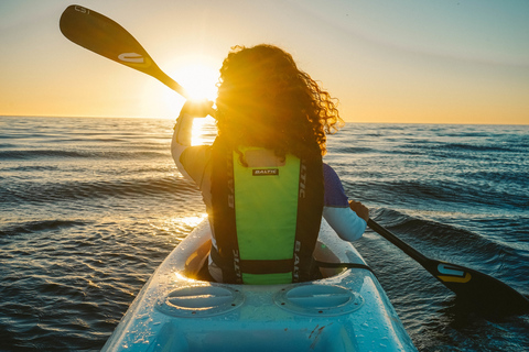 Cape Town: Marine Life Kayak Tour From the V&amp;A WaterfrontKayaking with Dolphins in the Heart of Cape Town