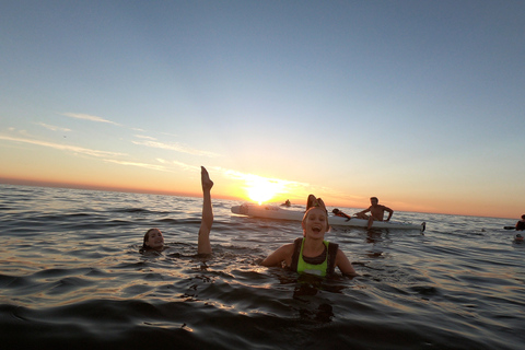 Cape Town: Marine Life Kayak Tour From The V&A Waterfront