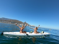Città del Capo, Marine Life Kayak Tour dal V&A Waterfront - Hizvo