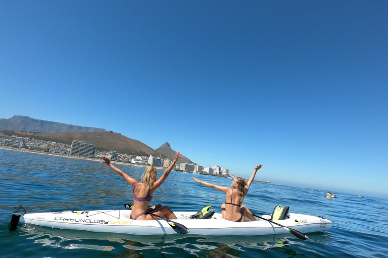 Cape Town: excursion en kayak sur la vie marine depuis le front de mer V&A