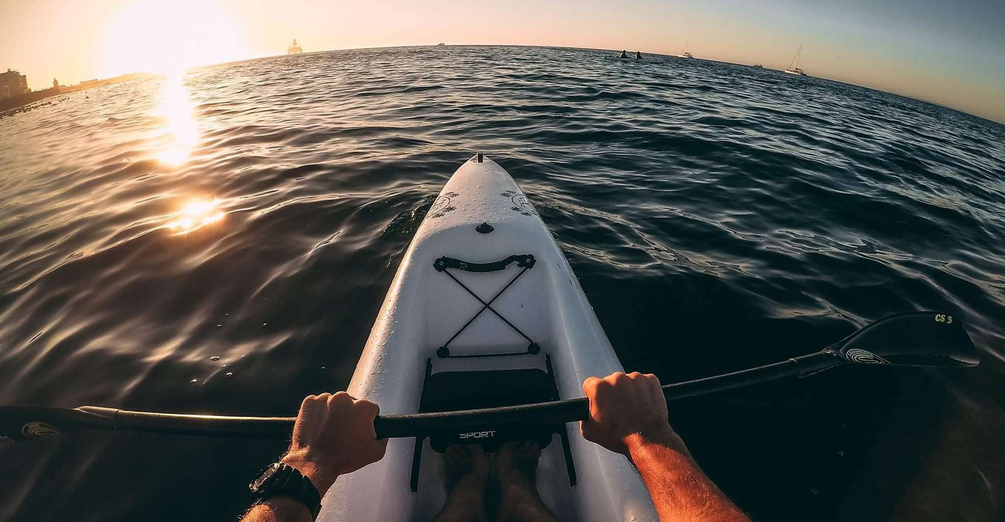 Cape Town Marine Life Kayak Tour From the V&A Waterfront TourMega